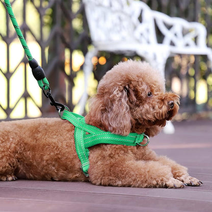 No Pull Dog Harness for Medium Sized Dog, Breathable Mesh Padded | Adjustable Reflective with Handle, Escape Proof, Quick Fit Pet Vest, with Front Clip, for Training and Walking, Beige, M