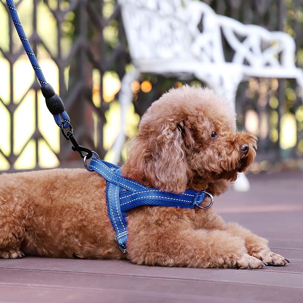 No Pull Dog Harness for Medium Sized Dog, Breathable Mesh Padded | Adjustable Reflective with Handle, Escape Proof, Quick Fit Pet Vest, with Front Clip, for Training and Walking, Beige, M