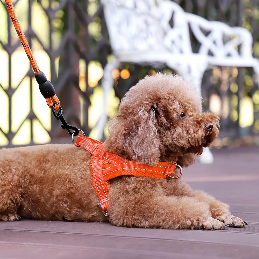 No Pull Dog Harness for Medium Sized Dog, Breathable Mesh Padded | Adjustable Reflective with Handle, Escape Proof, Quick Fit Pet Vest, with Front Clip, for Training and Walking, Beige, M
