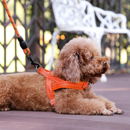 No Pull Dog Harness for Medium Sized Dog, Breathable Mesh Padded | Adjustable Reflective with Handle, Escape Proof, Quick Fit Pet Vest, with Front Clip, for Training and Walking, Beige, M