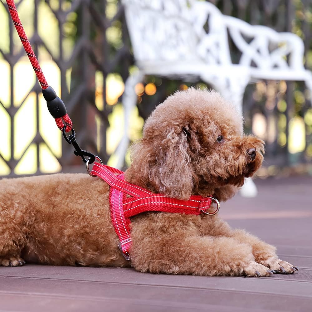 No Pull Dog Harness for Medium Sized Dog, Breathable Mesh Padded | Adjustable Reflective with Handle, Escape Proof, Quick Fit Pet Vest, with Front Clip, for Training and Walking, Beige, M