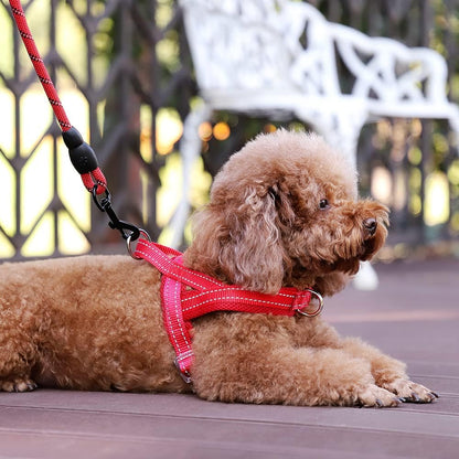 No Pull Dog Harness for Medium Sized Dog, Breathable Mesh Padded | Adjustable Reflective with Handle, Escape Proof, Quick Fit Pet Vest, with Front Clip, for Training and Walking, Beige, M
