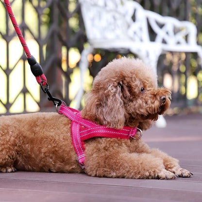 No Pull Dog Harness for Medium Sized Dog, Breathable Mesh Padded | Adjustable Reflective with Handle, Escape Proof, Quick Fit Pet Vest, with Front Clip, for Training and Walking, Beige, M
