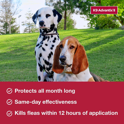 II Medium Dog Vet-Recommended Flea, Tick & Mosquito Treatment & Prevention | Dogs 11-20 lbs. | 1-Mo Supply