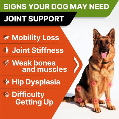 Advanced Glucosamine for Senior Dogs, Chondroitin Joint Support