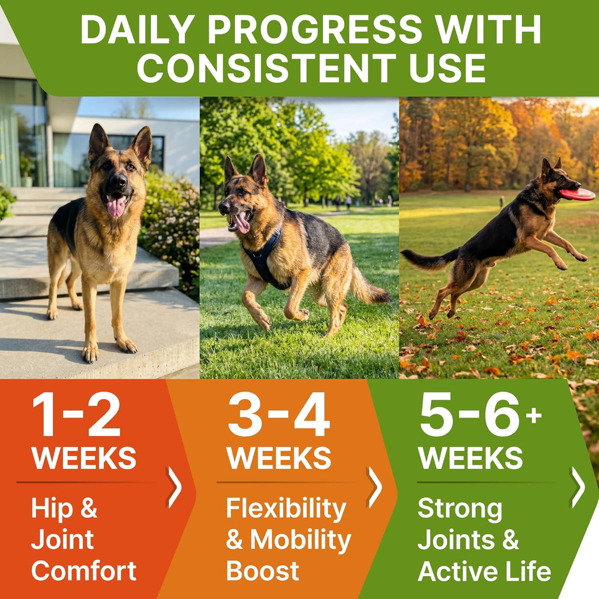 Advanced Glucosamine for Senior Dogs, Chondroitin Joint Support
