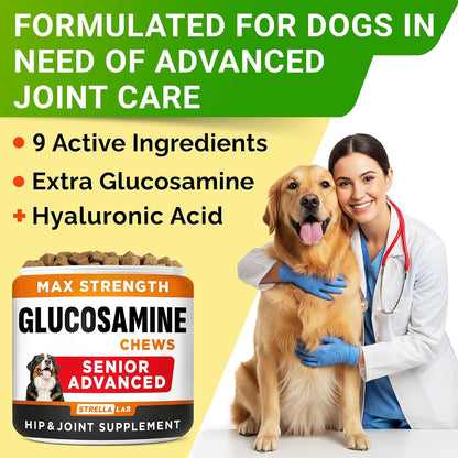 Advanced Glucosamine for Senior Dogs, Chondroitin Joint Support