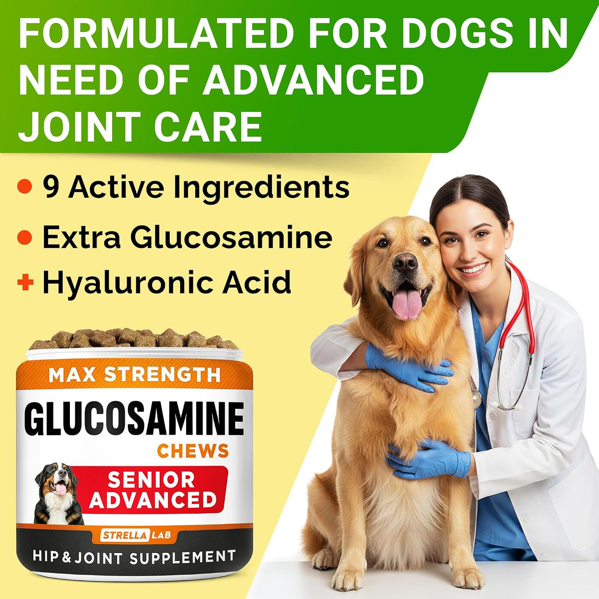 Advanced Glucosamine for Senior Dogs, Chondroitin Joint Support