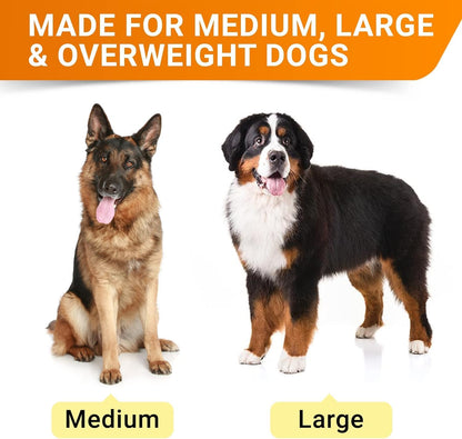 Advanced Glucosamine for Senior Dogs, Chondroitin Joint Support