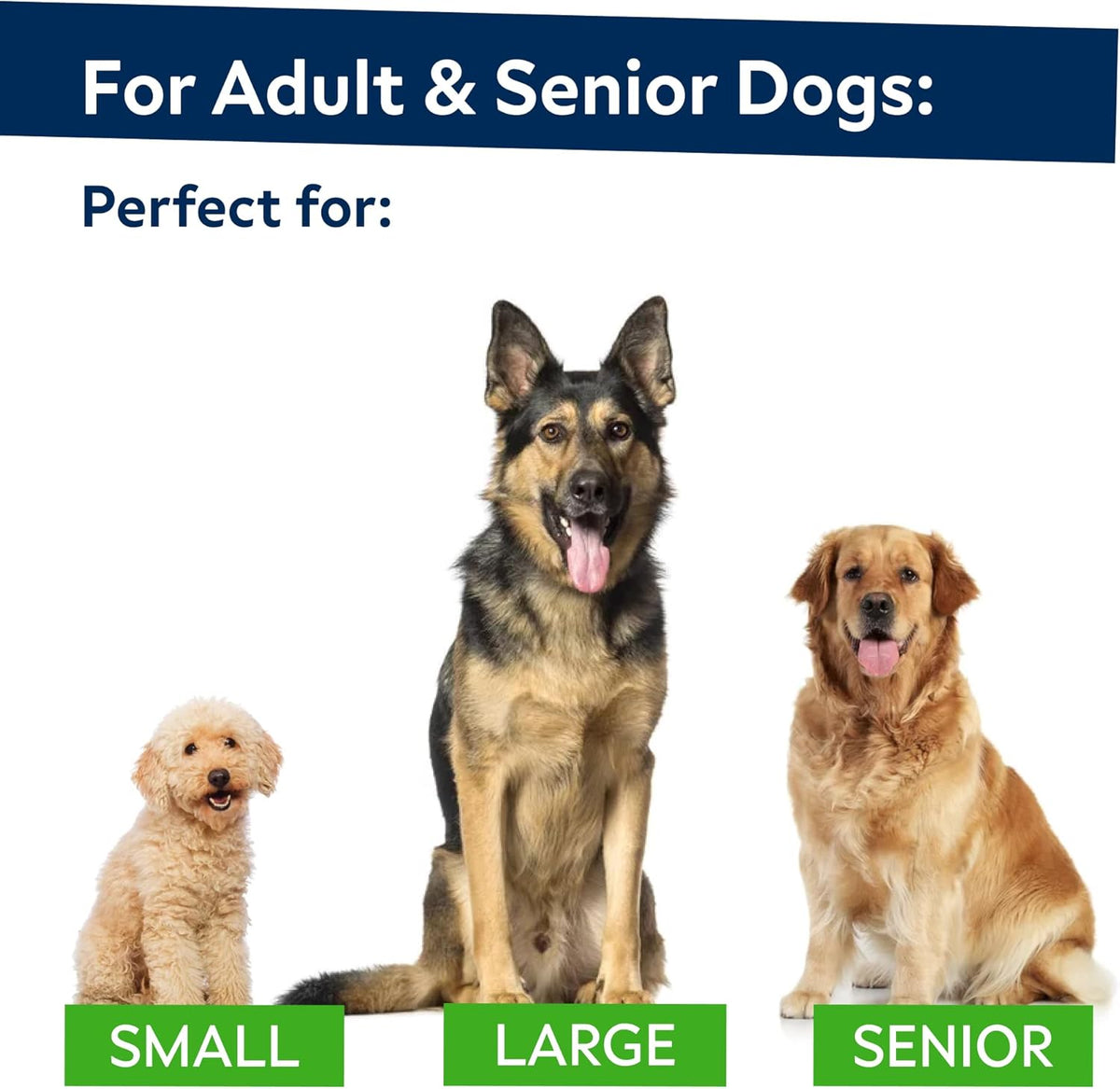 Advanced Glucosamine for Senior Dogs, Chondroitin Joint Support