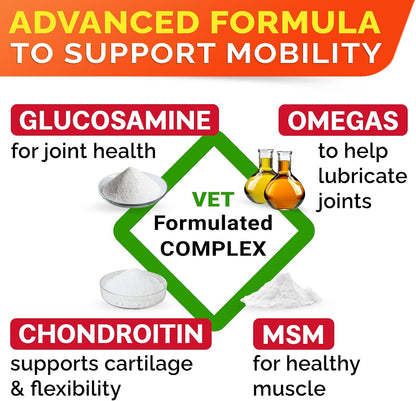Advanced Glucosamine for Senior Dogs, Chondroitin Joint Support