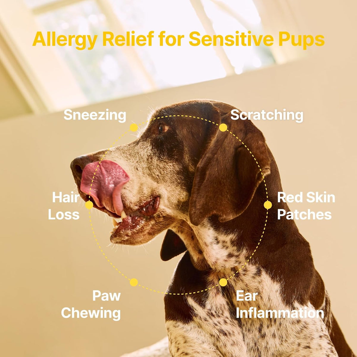 Dog Allergy Chews - Anti-Itch & Itchy Skin Support for Dogs, Probiotics & Omega 3 (Fish Oil) for Immune & Gut Health - Peanut Butter Flavor - 180 Soft Chews