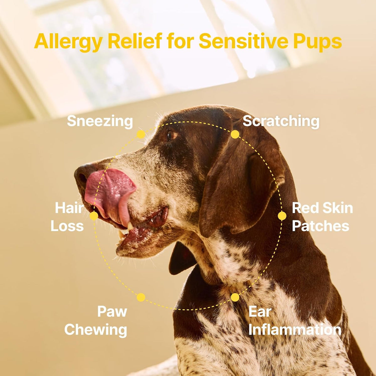 Dog Allergy Chews - Anti-Itch & Itchy Skin Support for Dogs, Probiotics & Omega 3 (Fish Oil) for Immune & Gut Health - Peanut Butter Flavor - 180 Soft Chews
