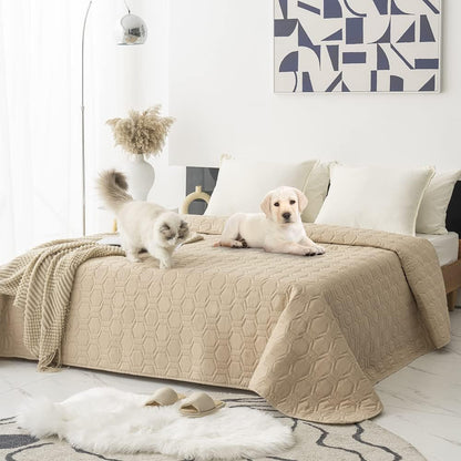 Waterproof Blanket Couch Cover for Dogs Non-Slip Pet Sofa Protector | Tcksstex Non-slip waterproof couch cover scratch resistant machine washable protects sofa bed car（52x82-Ivory）