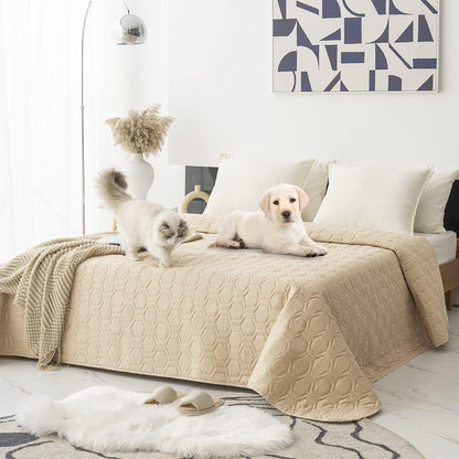 Waterproof Blanket Couch Cover for Dogs Non-Slip Pet Sofa Protector | Tcksstex Non-slip waterproof couch cover scratch resistant machine washable protects sofa bed car（52x82-Ivory）