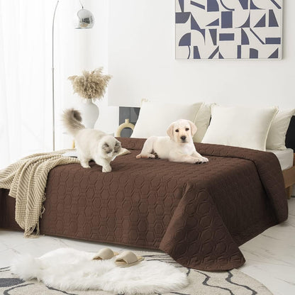 Waterproof Blanket Couch Cover for Dogs Non-Slip Pet Sofa Protector | Tcksstex Non-slip waterproof couch cover scratch resistant machine washable protects sofa bed car（52x82-Ivory）