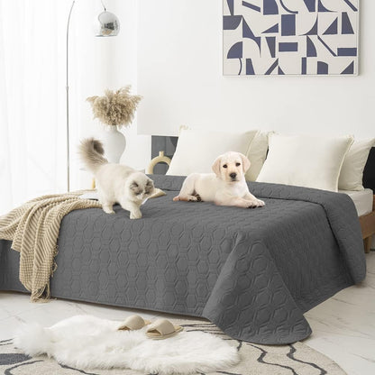 Waterproof Blanket Couch Cover for Dogs Non-Slip Pet Sofa Protector | Tcksstex Non-slip waterproof couch cover scratch resistant machine washable protects sofa bed car（52x82-Ivory）
