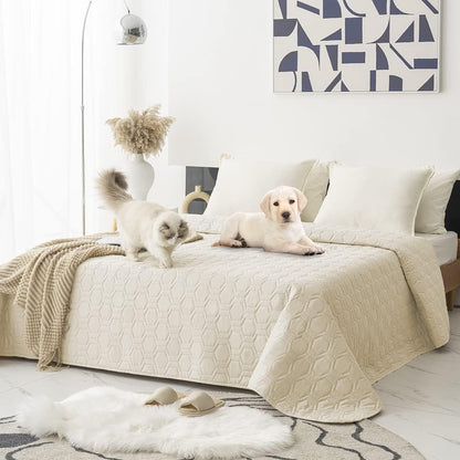 Waterproof Blanket Couch Cover for Dogs Non-Slip Pet Sofa Protector | Tcksstex Non-slip waterproof couch cover scratch resistant machine washable protects sofa bed car（52x82-Ivory）