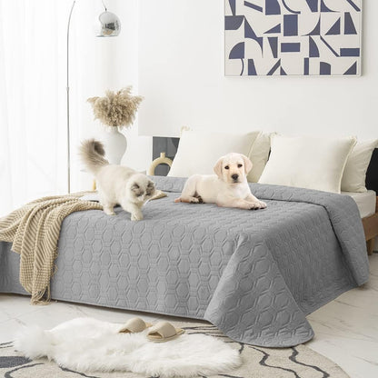Waterproof Blanket Couch Cover for Dogs Non-Slip Pet Sofa Protector | Tcksstex Non-slip waterproof couch cover scratch resistant machine washable protects sofa bed car（52x82-Ivory）