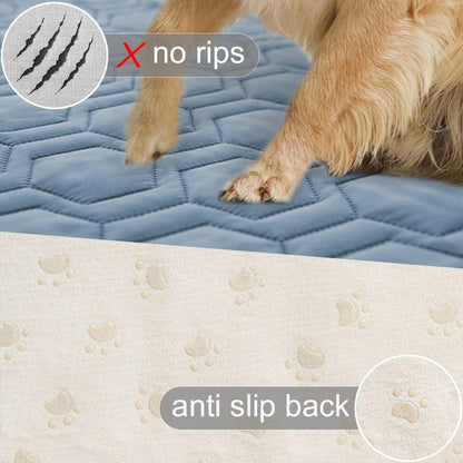 Waterproof Blanket Couch Cover for Dogs Non-Slip Pet Sofa Protector | Tcksstex Non-slip waterproof couch cover scratch resistant machine washable protects sofa bed car（52x82-Ivory）