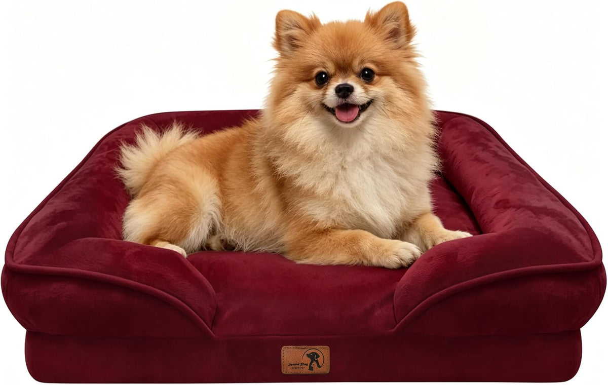 Orthopedic Dog Bed with Sides - Dog Sofa Beds for Medium Dogs, Supportive Foam Pet Couch Bed with Washable Removable Cover, Waterproof Lining and Non-Slip Bottom, Grey - M