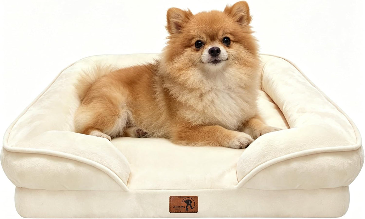 Orthopedic Dog Bed with Sides - Dog Sofa Beds for Medium Dogs, Supportive Foam Pet Couch Bed with Washable Removable Cover, Waterproof Lining and Non-Slip Bottom, Grey - M