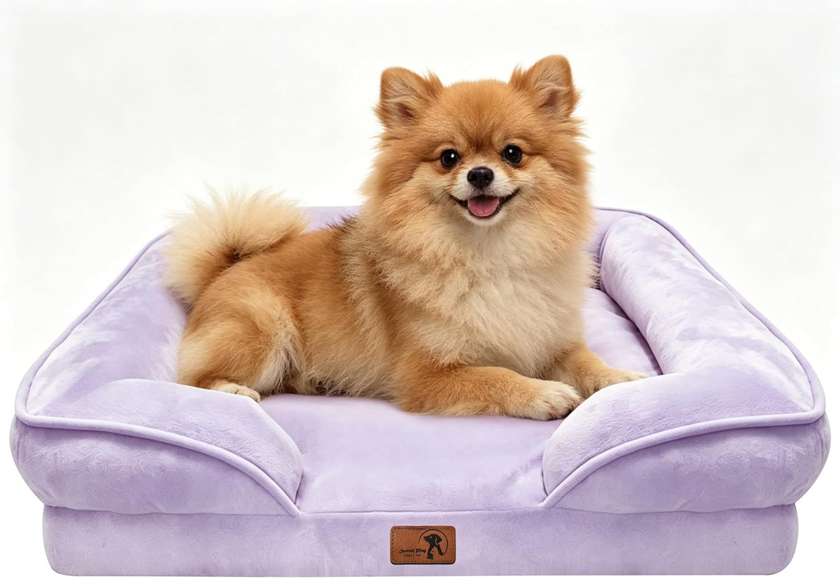Orthopedic Dog Bed with Sides - Dog Sofa Beds for Medium Dogs, Supportive Foam Pet Couch Bed with Washable Removable Cover, Waterproof Lining and Non-Slip Bottom, Grey - M