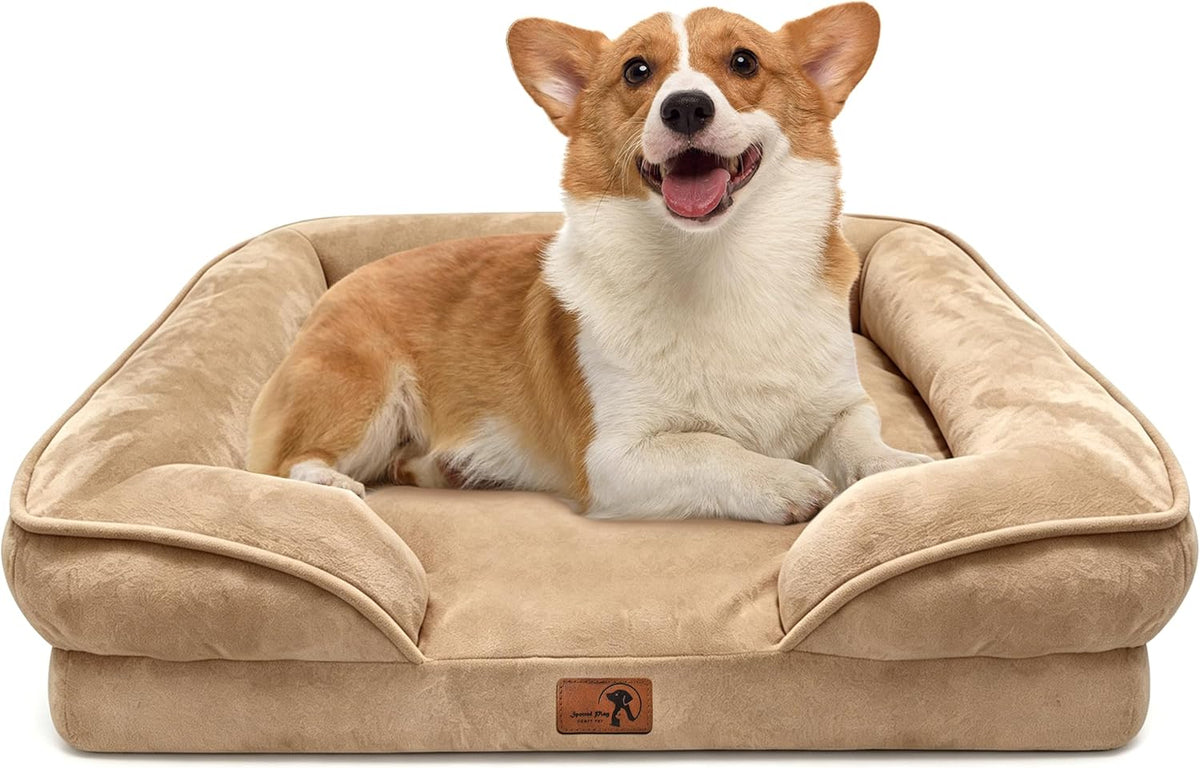 Orthopedic Dog Bed with Sides - Dog Sofa Beds for Medium Dogs, Supportive Foam Pet Couch Bed with Washable Removable Cover, Waterproof Lining and Non-Slip Bottom, Grey - M