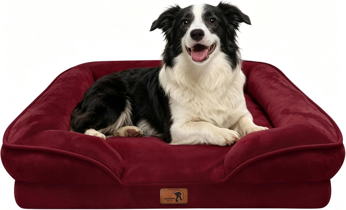Orthopedic Dog Bed with Sides - Dog Sofa Beds for Medium Dogs, Supportive Foam Pet Couch Bed with Washable Removable Cover, Waterproof Lining and Non-Slip Bottom, Grey - M