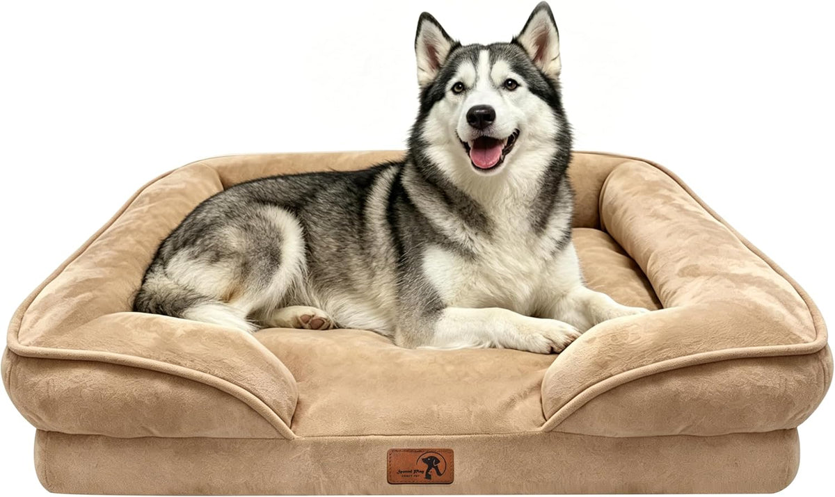 Orthopedic Dog Bed with Sides - Dog Sofa Beds for Medium Dogs, Supportive Foam Pet Couch Bed with Washable Removable Cover, Waterproof Lining and Non-Slip Bottom, Grey - M