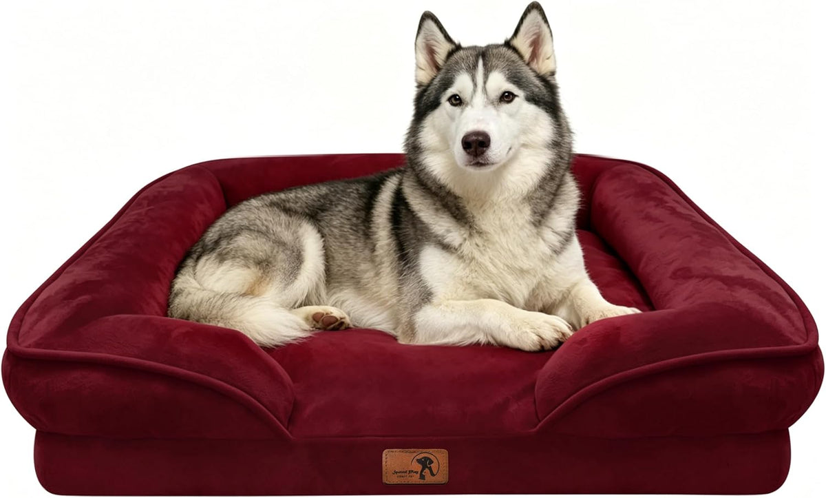 Orthopedic Dog Bed with Sides - Dog Sofa Beds for Medium Dogs, Supportive Foam Pet Couch Bed with Washable Removable Cover, Waterproof Lining and Non-Slip Bottom, Grey - M