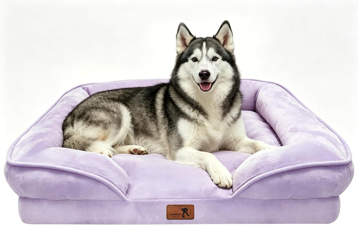 Orthopedic Dog Bed with Sides - Dog Sofa Beds for Medium Dogs, Supportive Foam Pet Couch Bed with Washable Removable Cover, Waterproof Lining and Non-Slip Bottom, Grey - M