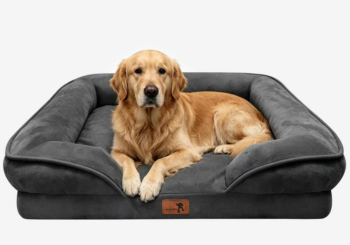 Orthopedic Dog Bed with Sides - Dog Sofa Beds for Medium Dogs, Supportive Foam Pet Couch Bed with Washable Removable Cover, Waterproof Lining and Non-Slip Bottom, Grey - M