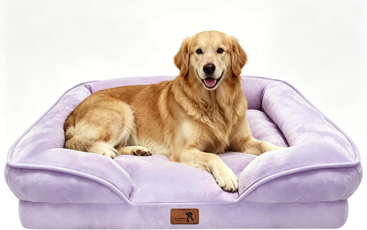 Orthopedic Dog Bed with Sides - Dog Sofa Beds for Medium Dogs, Supportive Foam Pet Couch Bed with Washable Removable Cover, Waterproof Lining and Non-Slip Bottom, Grey - M