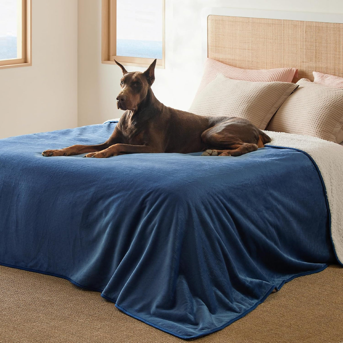 Waterproof Dog Blankets for Small Dogs Soft Cat Blanket Warm,25X35 | Washable Plush Sherpa Fleece Puppy Blanket for Couch Protector, Reversible Cozy Calming Throw for Pet Indoor,Grey