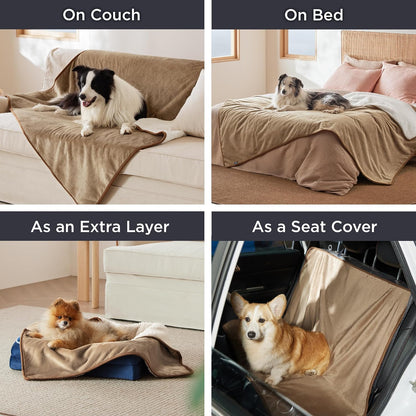Waterproof Dog Blankets for Small Dogs Soft Cat Blanket Warm,25X35 | Washable Plush Sherpa Fleece Puppy Blanket for Couch Protector, Reversible Cozy Calming Throw for Pet Indoor,Grey
