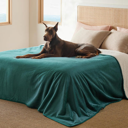 Waterproof Dog Blankets for Small Dogs Soft Cat Blanket Warm,25X35 | Washable Plush Sherpa Fleece Puppy Blanket for Couch Protector, Reversible Cozy Calming Throw for Pet Indoor,Grey