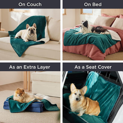 Waterproof Dog Blankets for Small Dogs Soft Cat Blanket Warm,25X35 | Washable Plush Sherpa Fleece Puppy Blanket for Couch Protector, Reversible Cozy Calming Throw for Pet Indoor,Grey