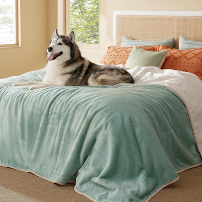 Waterproof Dog Blankets for Small Dogs Soft Cat Blanket Warm,25X35 | Washable Plush Sherpa Fleece Puppy Blanket for Couch Protector, Reversible Cozy Calming Throw for Pet Indoor,Grey