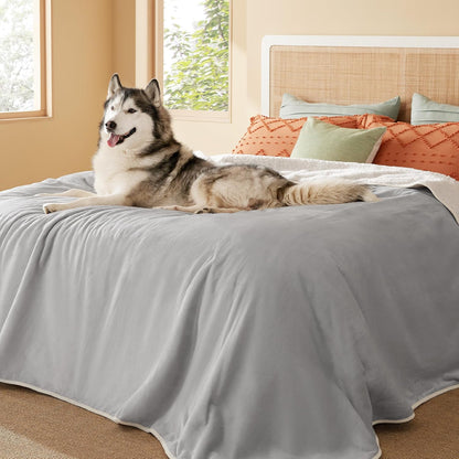 Waterproof Dog Blankets for Small Dogs Soft Cat Blanket Warm,25X35 | Washable Plush Sherpa Fleece Puppy Blanket for Couch Protector, Reversible Cozy Calming Throw for Pet Indoor,Grey