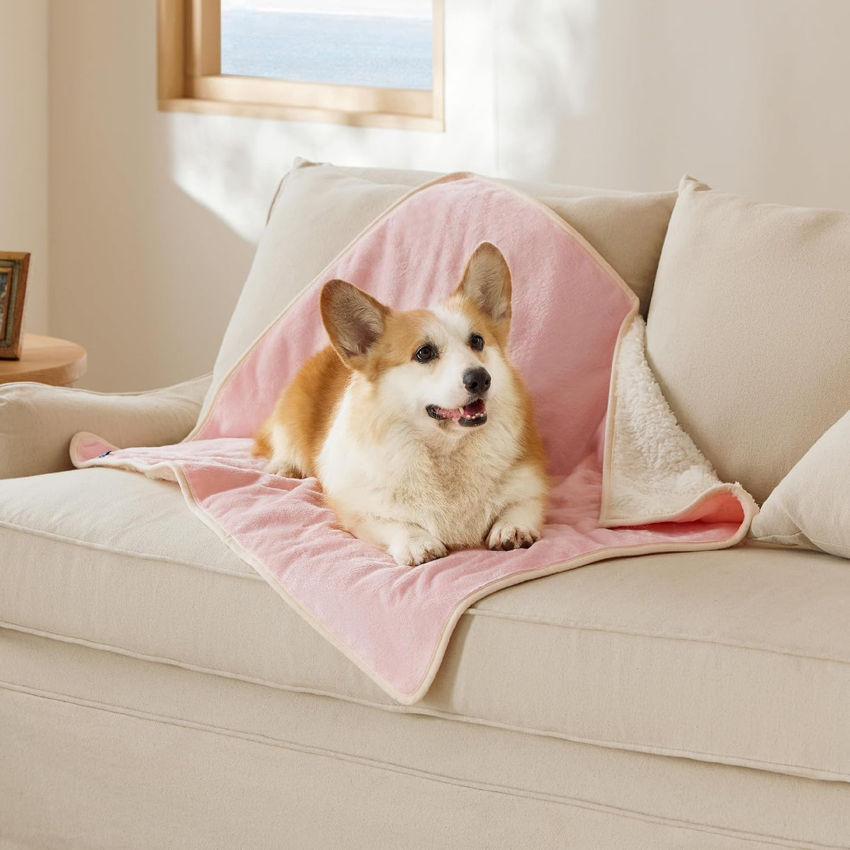 Waterproof Dog Blankets for Small Dogs Soft Cat Blanket Warm,25X35 | Washable Plush Sherpa Fleece Puppy Blanket for Couch Protector, Reversible Cozy Calming Throw for Pet Indoor,Grey