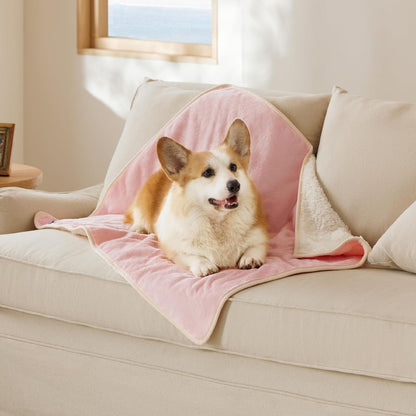 Waterproof Dog Blankets for Small Dogs Soft Cat Blanket Warm,25X35 | Washable Plush Sherpa Fleece Puppy Blanket for Couch Protector, Reversible Cozy Calming Throw for Pet Indoor,Grey