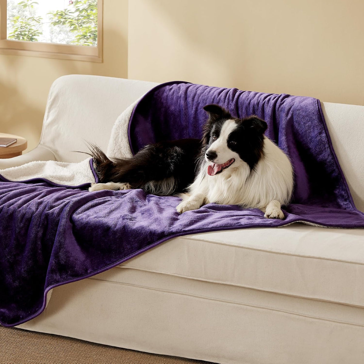 Waterproof Dog Blankets for Small Dogs Soft Cat Blanket Warm,25X35 | Washable Plush Sherpa Fleece Puppy Blanket for Couch Protector, Reversible Cozy Calming Throw for Pet Indoor,Grey