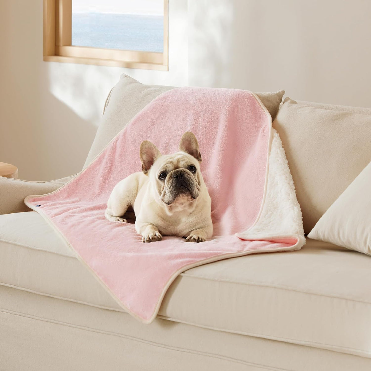 Waterproof Dog Blankets for Small Dogs Soft Cat Blanket Warm,25X35 | Washable Plush Sherpa Fleece Puppy Blanket for Couch Protector, Reversible Cozy Calming Throw for Pet Indoor,Grey