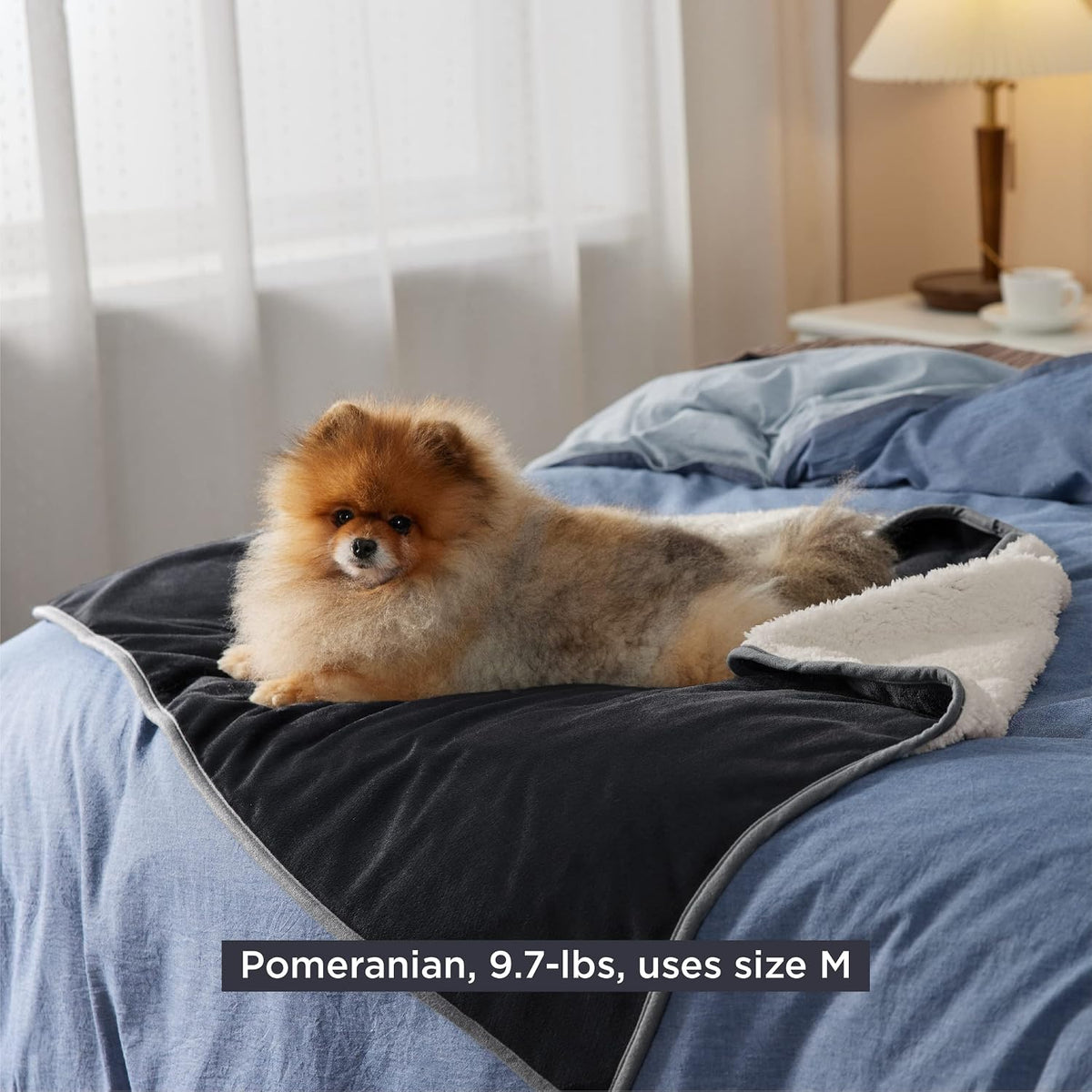 Waterproof Dog Blankets for Small Dogs Soft Cat Blanket Warm,25X35 | Washable Plush Sherpa Fleece Puppy Blanket for Couch Protector, Reversible Cozy Calming Throw for Pet Indoor,Grey