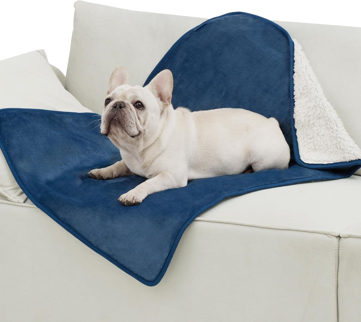 Waterproof Dog Blankets for Small Dogs Soft Cat Blanket Warm,25X35 | Washable Plush Sherpa Fleece Puppy Blanket for Couch Protector, Reversible Cozy Calming Throw for Pet Indoor,Grey
