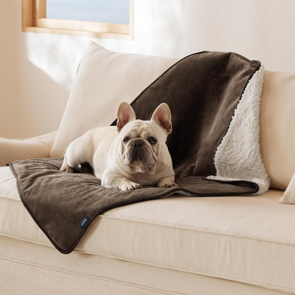 Waterproof Dog Blankets for Small Dogs Soft Cat Blanket Warm,25X35 | Washable Plush Sherpa Fleece Puppy Blanket for Couch Protector, Reversible Cozy Calming Throw for Pet Indoor,Grey