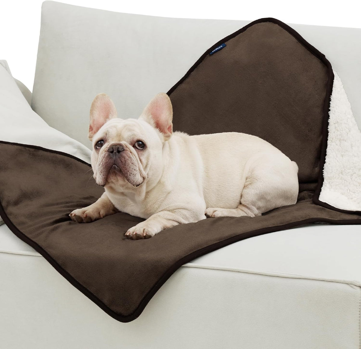 Waterproof Dog Blankets for Small Dogs Soft Cat Blanket Warm,25X35 | Washable Plush Sherpa Fleece Puppy Blanket for Couch Protector, Reversible Cozy Calming Throw for Pet Indoor,Grey