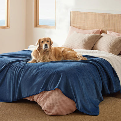 Waterproof Dog Blankets for Small Dogs Soft Cat Blanket Warm,25X35 | Washable Plush Sherpa Fleece Puppy Blanket for Couch Protector, Reversible Cozy Calming Throw for Pet Indoor,Grey