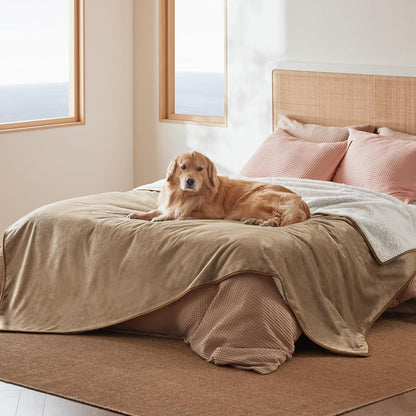 Waterproof Dog Blankets for Small Dogs Soft Cat Blanket Warm,25X35 | Washable Plush Sherpa Fleece Puppy Blanket for Couch Protector, Reversible Cozy Calming Throw for Pet Indoor,Grey